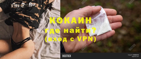 гашик Абаза