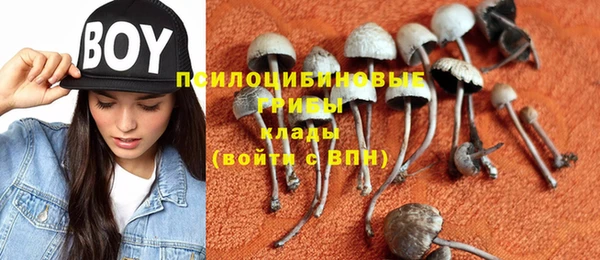 винт Алексин