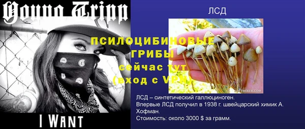 гашик Абаза