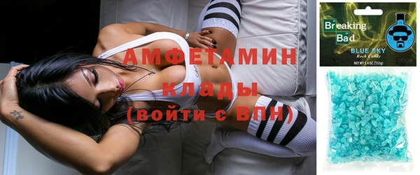 мдпв Кострома