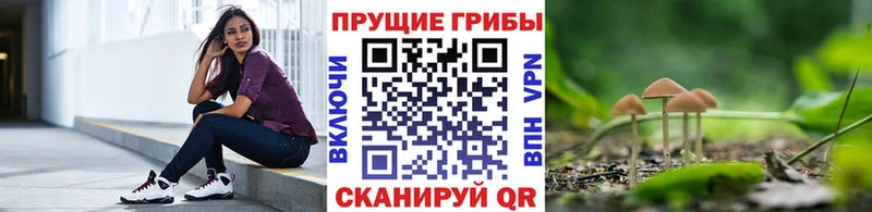 Псилоцибиновые грибы прущие грибы  Трубчевск 